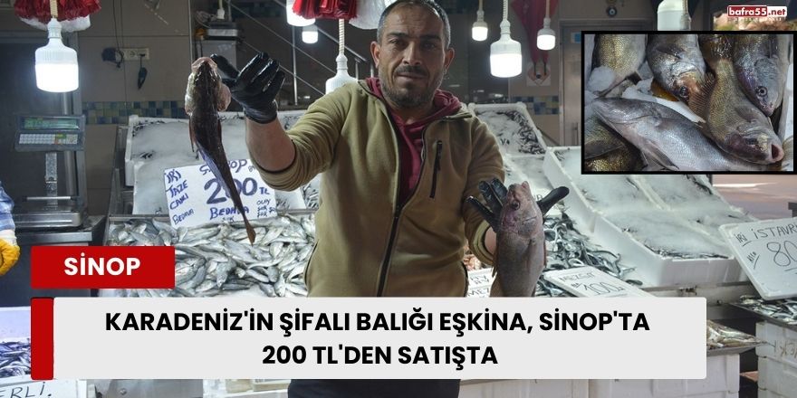 Karadeniz'in Şifalı Balığı Eşkina, Sinop'ta 200 TL'den Satışta