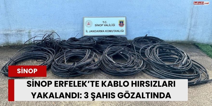 Sinop Erfelek’te Kablo Hırsızları Yakalandı: 3 Şahıs Gözaltında