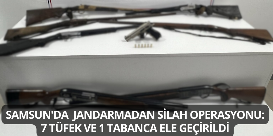 Samsun'da Jandarmadan Silah Operasyonu: 7 Tüfek ve 1 Tabanca Ele Geçirildi