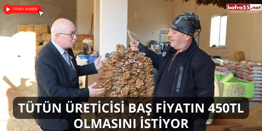 Tütün Üreticisi Baş Fiyatın 450TL Olmasını İstiyor