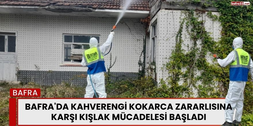 Bafra'da Kahverengi Kokarca Zararlısına Karşı Kışlak Mücadelesi Başladı