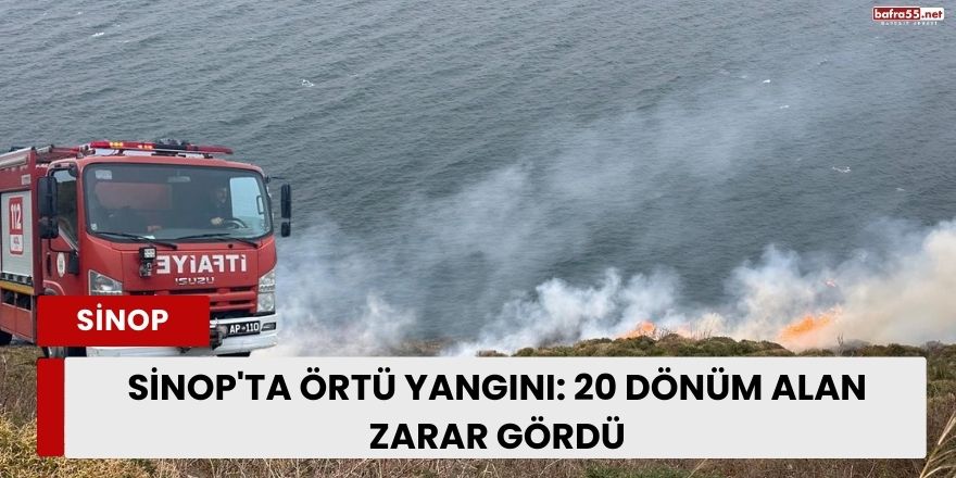 Sinop'ta örtü yangını: 20 dönüm alan zarar gördü