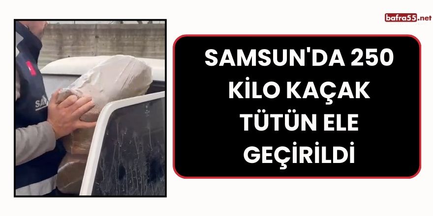 Samsun'da 250 kilo kaçak tütün ele geçirildi