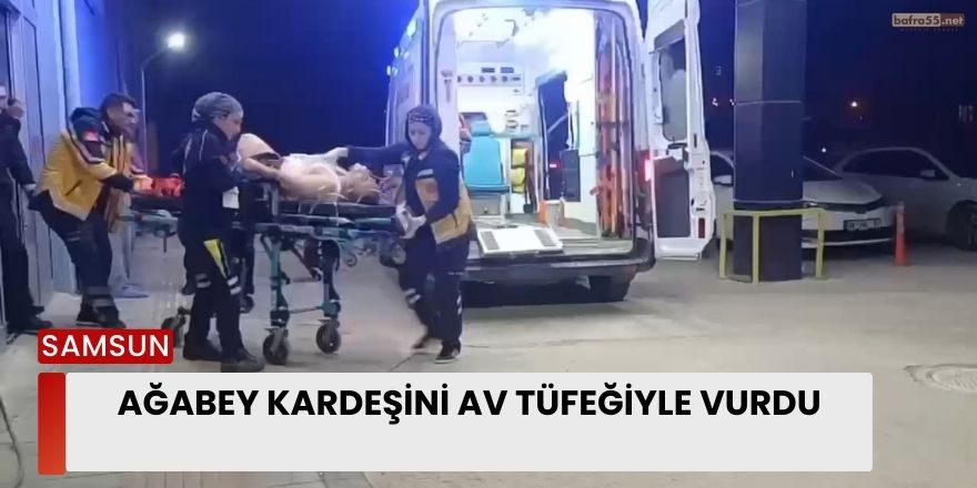 Ağabey Kardeşini Av Tüfeğiyle Vurdu