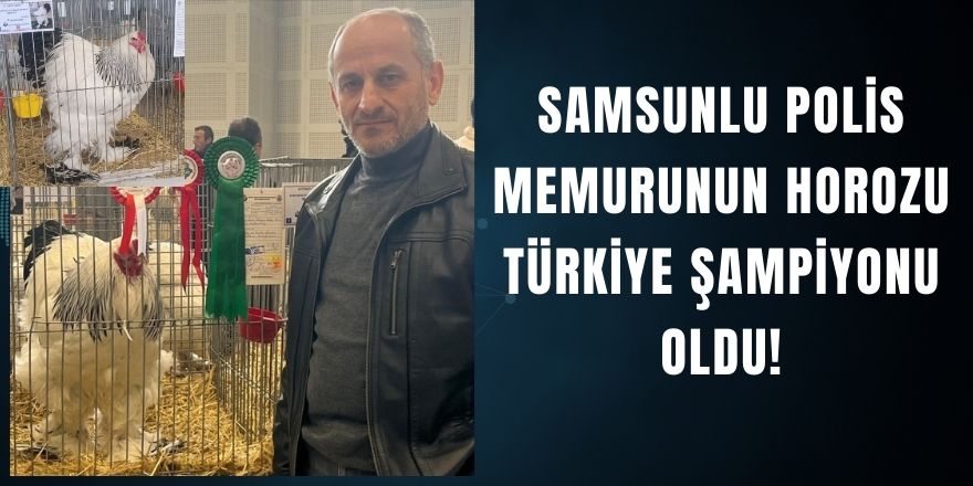 Samsunlu Polis Memurunun Horozu Türkiye Şampiyonu Oldu!