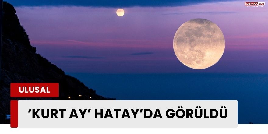 ‘Kurt Ay’ Hatay’da görüldü