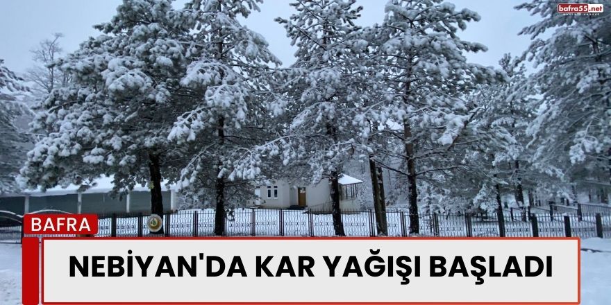 Nebiyan'da Kar Yağışı Başladı