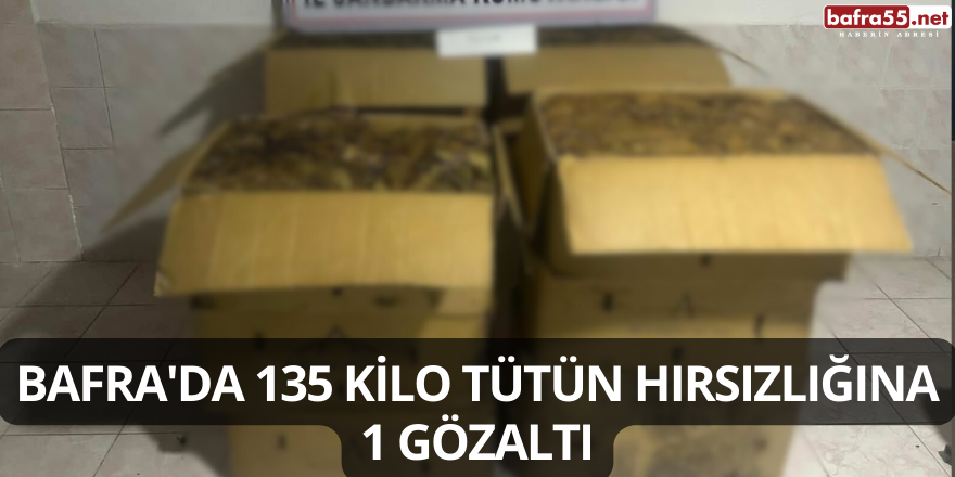 Bafra'da 135 Kilo Tütün Hırsızlığına 1 Gözaltı