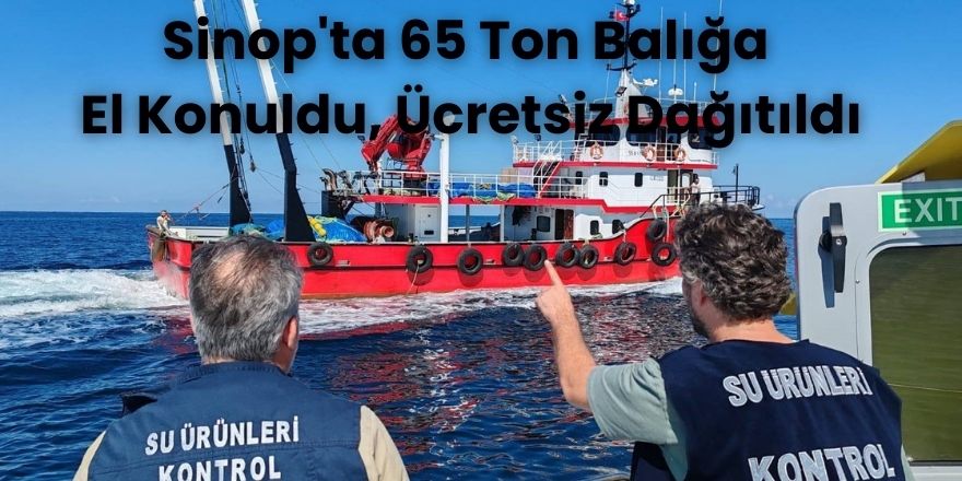 Sinop'ta 65 Ton Balığa El Konuldu, Ücretsiz Dağıtıldı