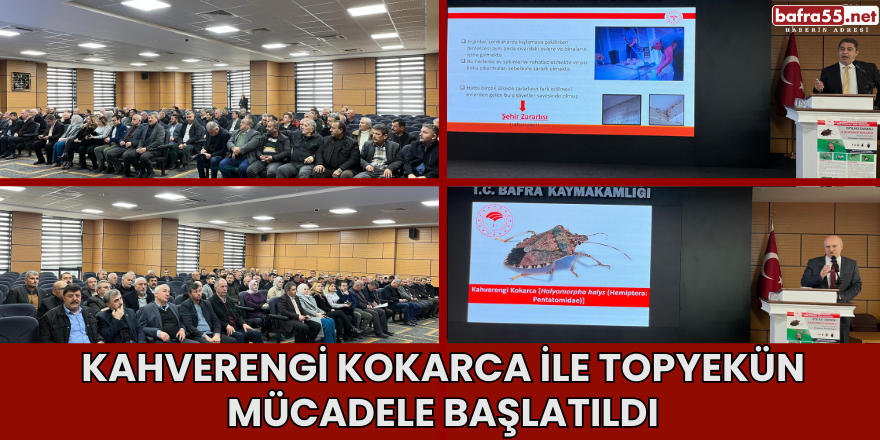 Kahverengi Kokarca ile Topyekün Mücadele Başlatıldı