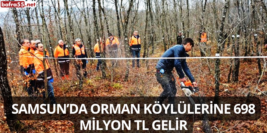 Samsun’da Orman Köylülerine 698 Milyon TL Gelir