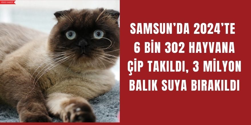 Samsun’da 2024’te 6 Bin 302 Hayvana Çip Takıldı, 3 Milyon Balık Suya Bırakıldı