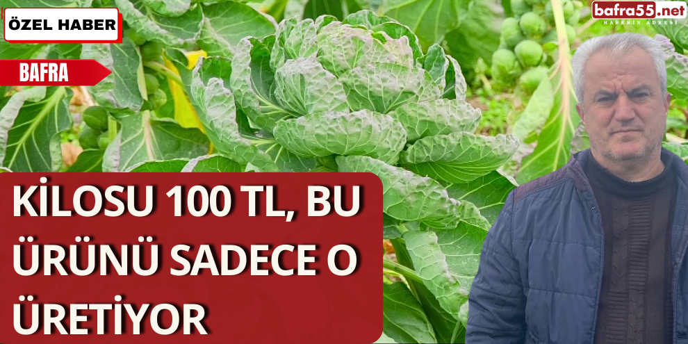 Kilosu 100 TL, Bu Ürünü Sadece O Üretiyor