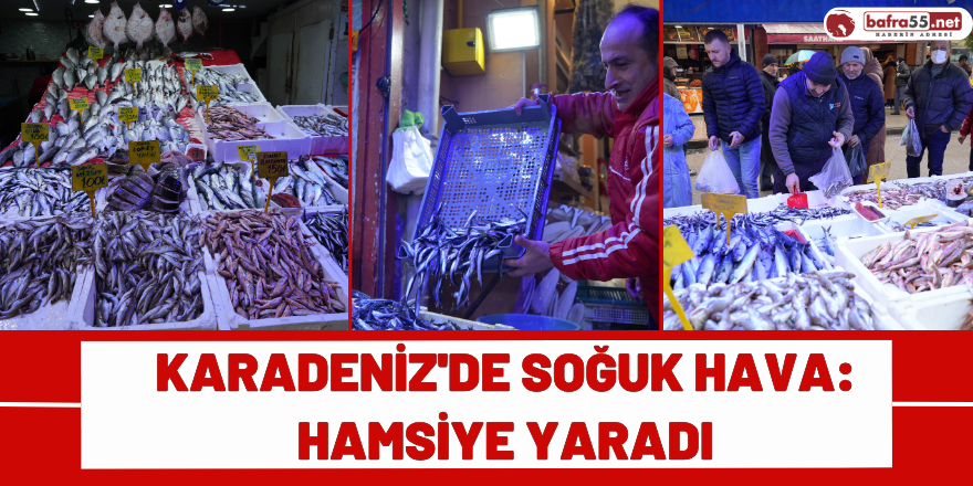 Karadeniz'de Soğuk Hava: Hamsiye Yaradı