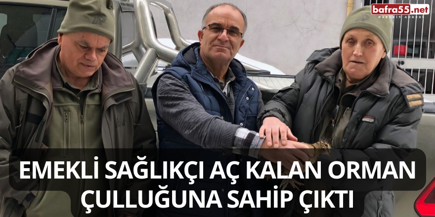 Emekli Sağlıkçı Aç Kalan Orman Çulluğuna Sahip Çıktı