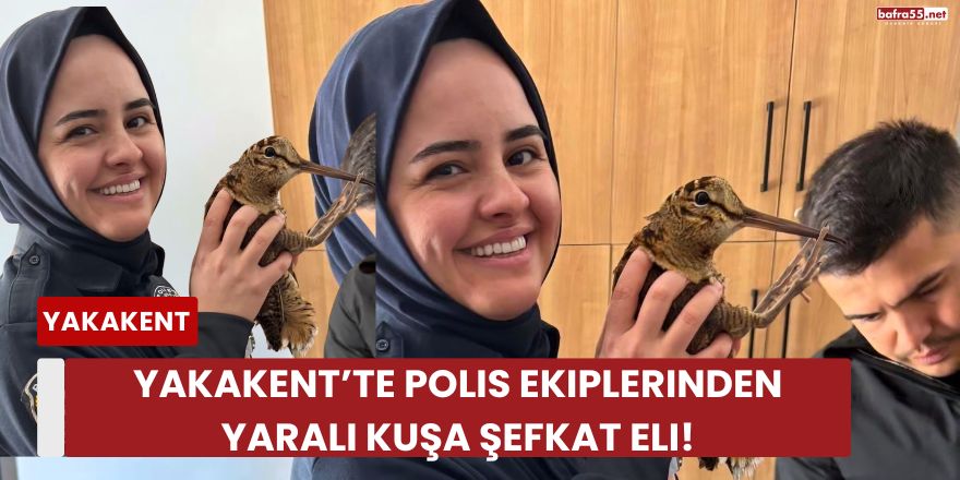 Yakakent’te Polis Ekiplerinden Yaralı Kuşa Şefkat Eli!