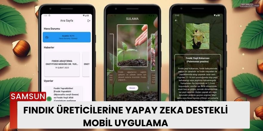 Fındık üreticilerine yapay zeka destekli mobil uygulama