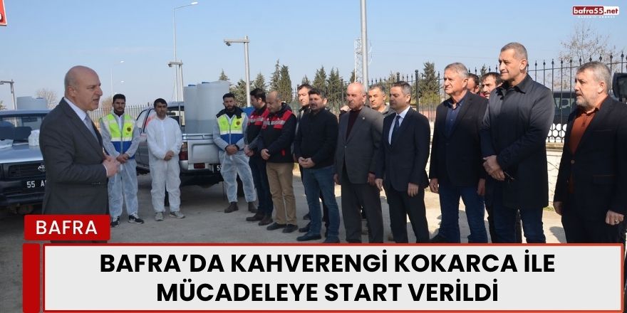 Bafra’da kahverengi kokarca ile mücadeleye start verildi