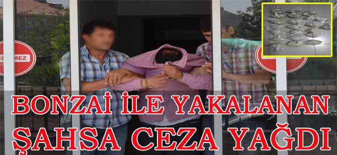 BONZAİ İLE YAKALANAN ŞAHSA CEZA YAĞDI