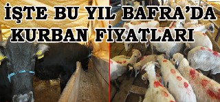 İŞTE BAFRA’DA KURBAN FİYATLARI