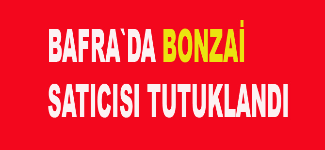 Bonzai satıcısı tutuklandı