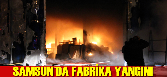 Samsun'da fabrika yangını