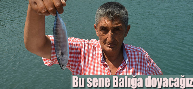 Bu sene Balığa doyacağız