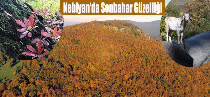 Nebiyan'da Sonbahar Güzelliği