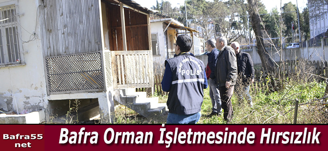 Bafra Orman İşletmesini Soydular