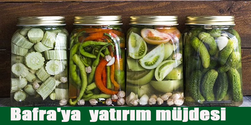 Bafra'ya  yatırım müjdesi