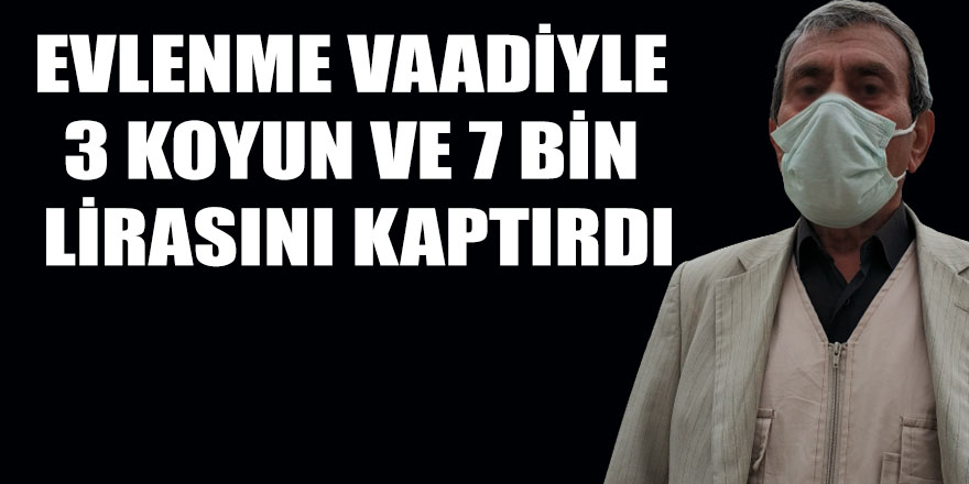 EVLENME VAADİYLE 3 KOYUN VE 7 BİN LİRASINI KAPTIRDI