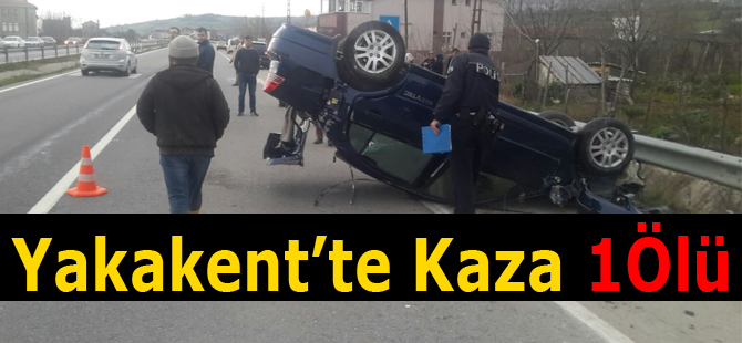 Yakakent'te Otomobilin Çarptığı Kadın Öldü