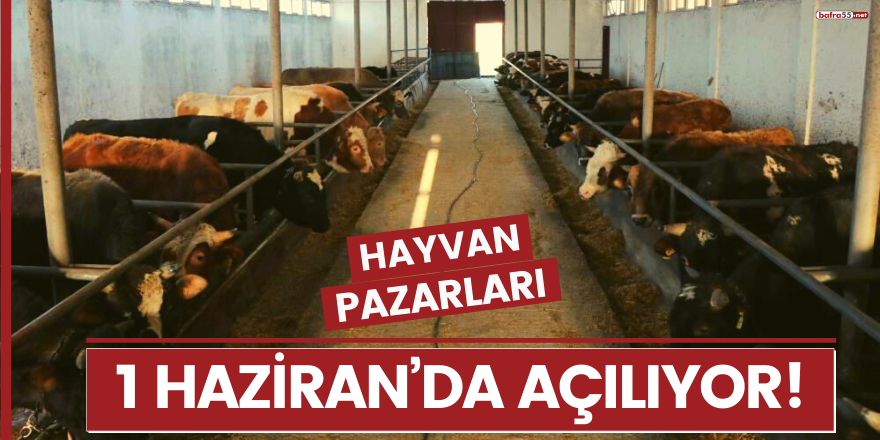 Hayvan pazarları 1 Haziran’da açılıyor!