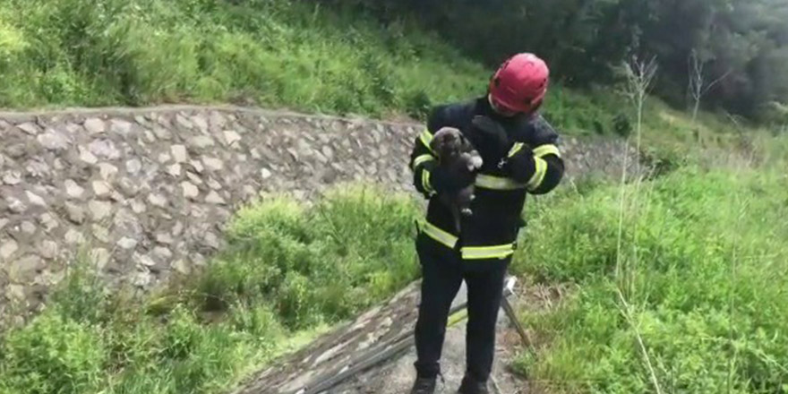 Dereye düşen köpek kurtarıldı