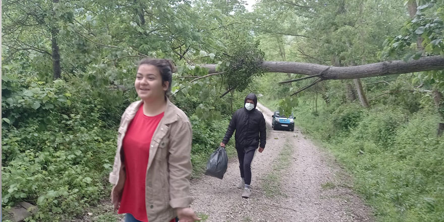 Sinop’ta yıkılan ağaç yolu kapattı