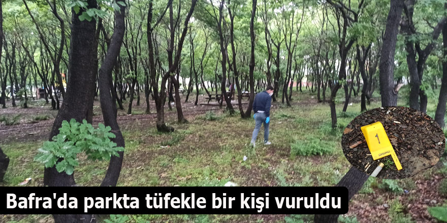 Bafra'da parkta tüfekle bir kişi vuruldu