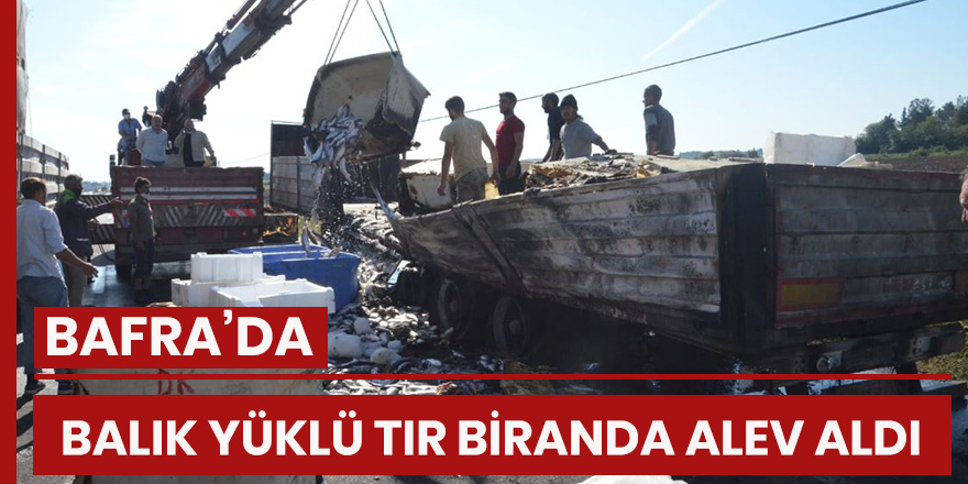 Balık yüklü tır bir anda alev aldı