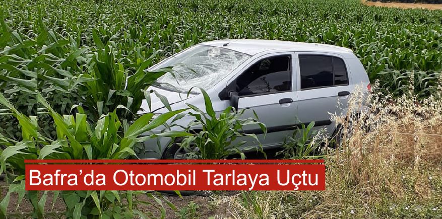 Kontrolden çıkan otomobil tarlaya uçtu