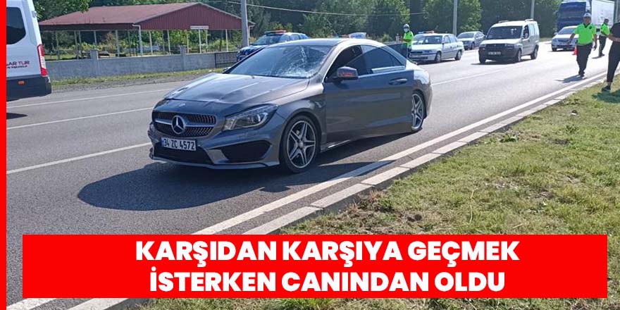 Otomobilin çarptığı yaya hayatını kaybetti