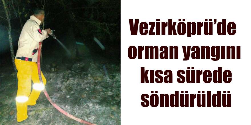 Vezirköprüde orman yangını kısa sürede söndürüldü