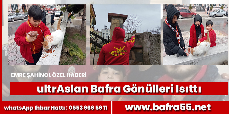 ultrAslan Bafra’dan Sokak hayvanlarına anlamlı destek