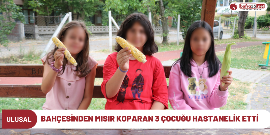 Bahçesinden mısır koparan 3 çocuğu hastanelik etti