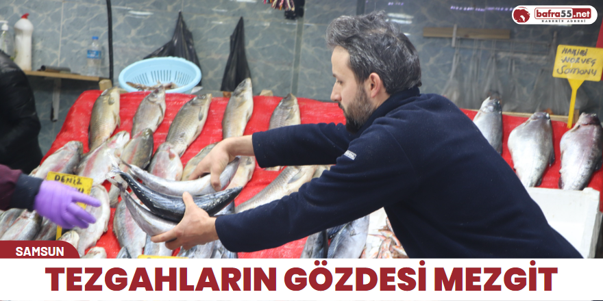 Tezgahların gözdesi mezgit