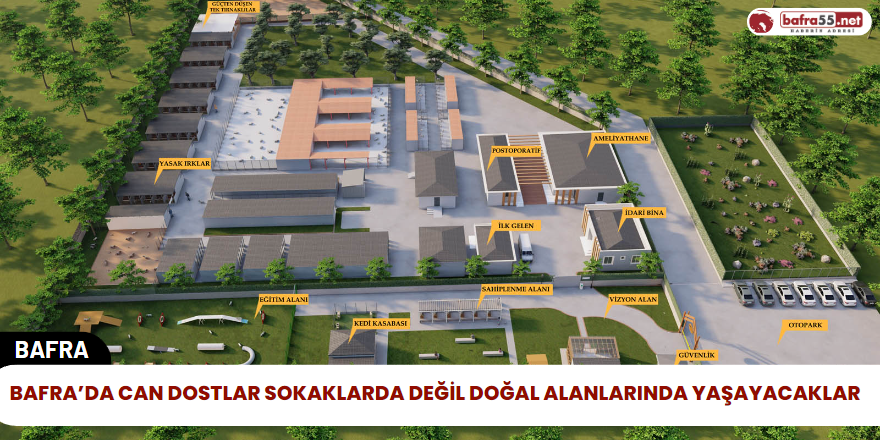 Bafra'da Can Dostlar Sokaklarda Değil Doğal Alanlarında Yaşayacaklar