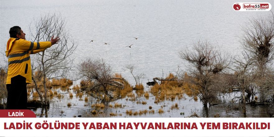 Ladik Gölünde Yaban Hayvanlarına Yem Bırakıldı