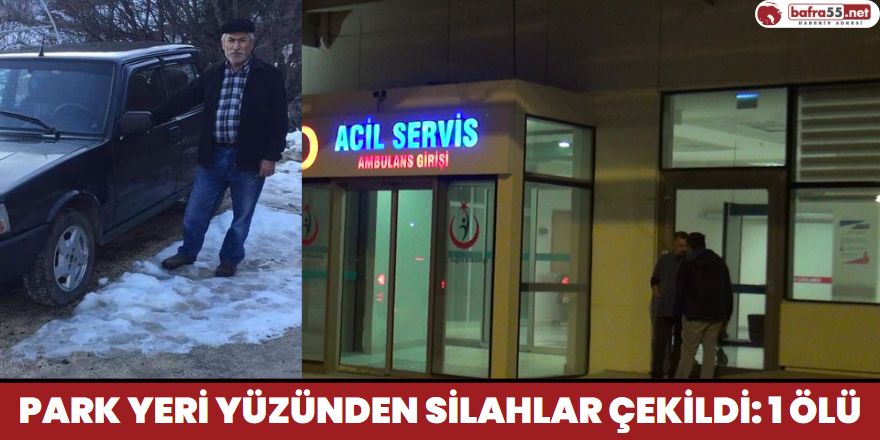 Araç Parkı Yüzünden Silahlar Çekildi 1 Ölü