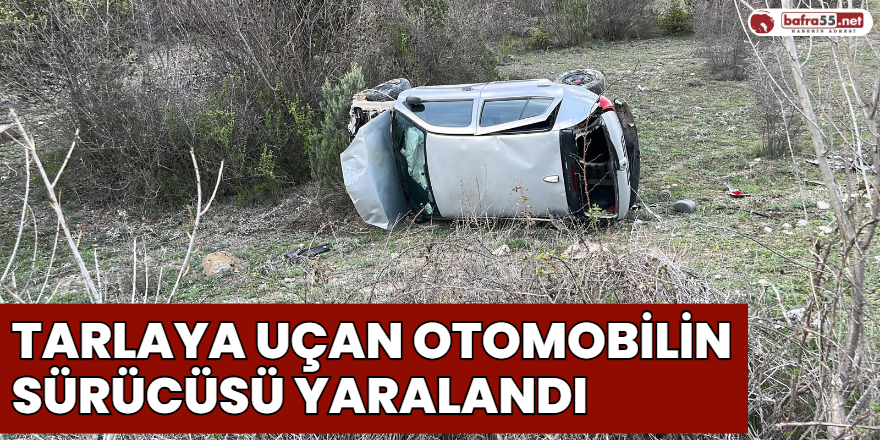 Tarlaya Uçan Otomobilin Sürücüsü Yaralandı