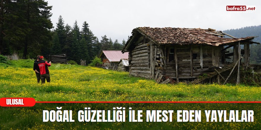 Doğal güzelliği ile mest eden yaylalar