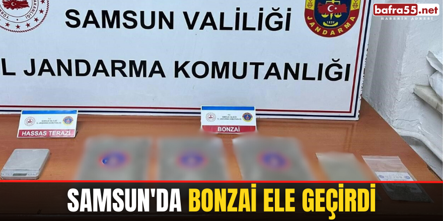 Samsun'da  bonzai ele geçirdi