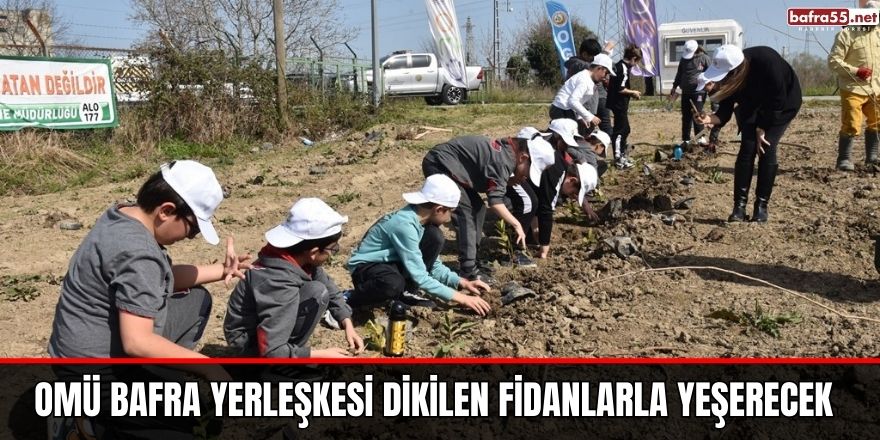 OMÜ Bafra Yerleşkesi dikilen fidanlarla yeşerecek